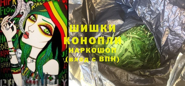 стаф Арсеньев