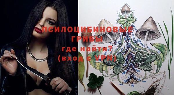 стаф Алексеевка