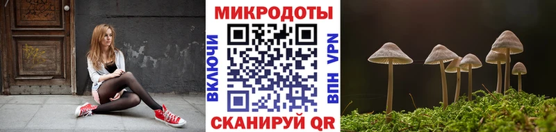 Псилоцибиновые грибы Cubensis  Новороссийск 